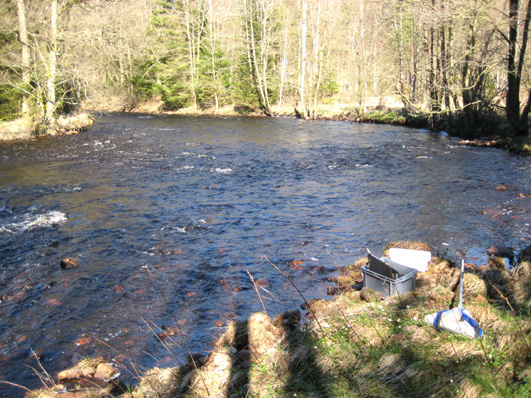 Bottenfauna i Hallands län 28 28 Vattensystem: Vattendrag/namn: Provpunktsbeteckning: FYLLEÅN Fylleån, Ryaberg HALF9 Provdatum: Lokaltyp: Å 28422 Naturligt/grävt: naturligt Lokal lämplig för