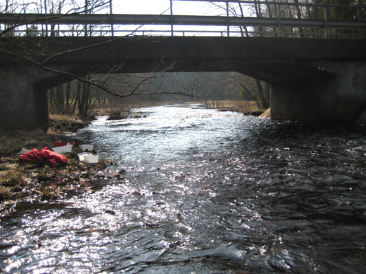 Bottenfauna i Hallands län 28 4 Vattensystem: Vattendrag/namn: Provpunktsbeteckning: NISSAN Sännan, Virsehatt HALN3 Provdatum: Lokaltyp: Å 2841 Naturligt/grävt: naturligt Lokal lämplig för