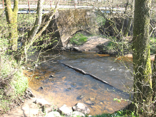 Bottenfauna i Hallands län 28 56 Vattensystem: Vattendrag/namn: Provpunktsbeteckning: SUSEÅN Suseån, Uddaveka HALSU14 Provdatum: Lokaltyp: Å 28429 Naturligt/grävt: naturligt Lokal lämplig för