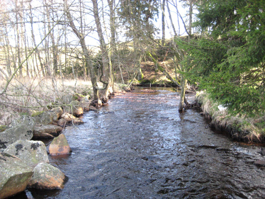 Bottenfauna i Hallands län 28 58 Vattensystem: Vattendrag/namn: Provpunktsbeteckning: SUSEÅN Döblaån, Nybygget HALSu15 Provdatum: Lokaltyp: Å 28418 Naturligt/grävt: naturligt Lokal lämplig för