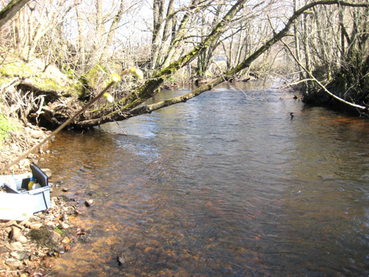 Bottenfauna i Hallands län 28 6 Vattensystem: Vattendrag/namn: Provpunktsbeteckning: SUSEÅN Slissån, Brynestorp HALSu16 Provdatum: Lokaltyp: Å 28418 Naturligt/grävt: naturligt Koordinater x: 6297767