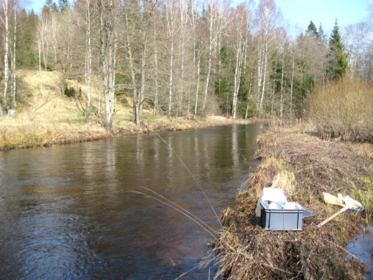 Bottenfauna i Hallands län 28 68 Vattensystem: Vattendrag/namn: Provpunktsbeteckning: ÄTRAN Högvadsån, Horsared HALÄ5 Provdatum: Lokaltyp: Å 28417 Naturligt/grävt: naturligt Lokal lämplig för