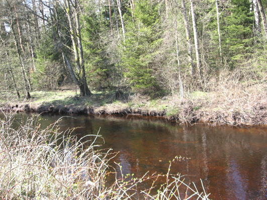 Bottenfauna i Hallands län 28 7 Vattensystem: Vattendrag/namn: Provpunktsbeteckning: ÄTRAN Hjärtaredsån, Barkhult HALÄ9 Provdatum: Lokaltyp: Å 28429 Naturligt/grävt: naturligt Lokal lämplig för