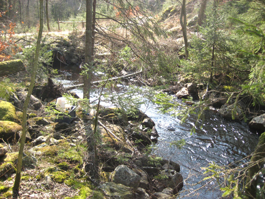 Bottenfauna i Hallands län 28 76 Vattensystem: Vattendrag/namn: Provpunktsbeteckning: ÄTRAN Skärshultaån, Hannedal HALÄ17 Provdatum: Lokaltyp: Å 28417 Naturligt/grävt: naturligt Koordinater x: Lokal