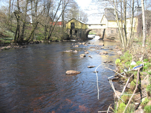 Bottenfauna i Hallands län 28 8 Vattensystem: Vattendrag/namn: Provpunktsbeteckning: ÄTRAN Högvadsån, Nydala kvarn HALÄ2 Provdatum: Lokaltyp: Å 28429 Naturligt/grävt: naturligt Lokal lämplig för