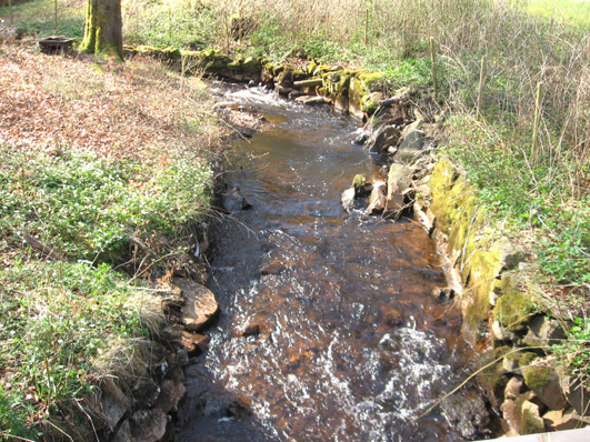 Bottenfauna i Hallands län 28 82 Vattensystem: Vattendrag/namn: Provpunktsbeteckning: HIMLEÅN Stenån, Kvarnen HALH1 Provdatum: 28428 Koordinater x: 63469 y: 129911 Kommun: Varberg Lokaltyp: Bäck