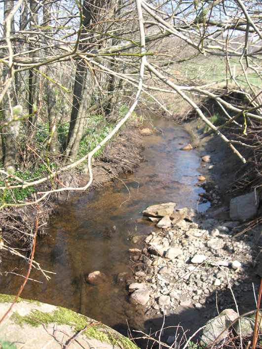 Bottenfauna i Hallands län 28 86 Vattensystem: Vattendrag/namn: Provpunktsbeteckning: VISKAN Skottsjöbäcken, Siggebol HALV9 Provdatum: 28428 Koordinater x: 63479 y: 129859 Kommun: Varberg Lokaltyp: