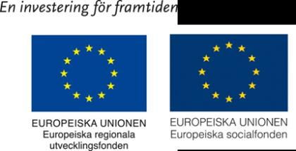 Projektportfölj