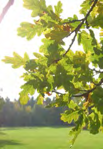 Översiktsplan Lidingö 2030 Riktlinjer Grön- och blåstruktur Lidingös natur och vatten bildar tillsammans de gröna och blå strukturer som utgör grunden för en hållbar samhällsplanering.