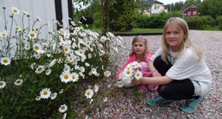 VABIMO VAS NA PRAZNOVANJE ZAČETKA POLETJA IN DRŽAVNEGA PRAZNIKA, KI BO NA HUSTI DNE 24. JUNIJA Vsi lepo povabljeni na praznovanje poletnega časa (Midsommar) v petek popoldne od 16.00 ure naprej.