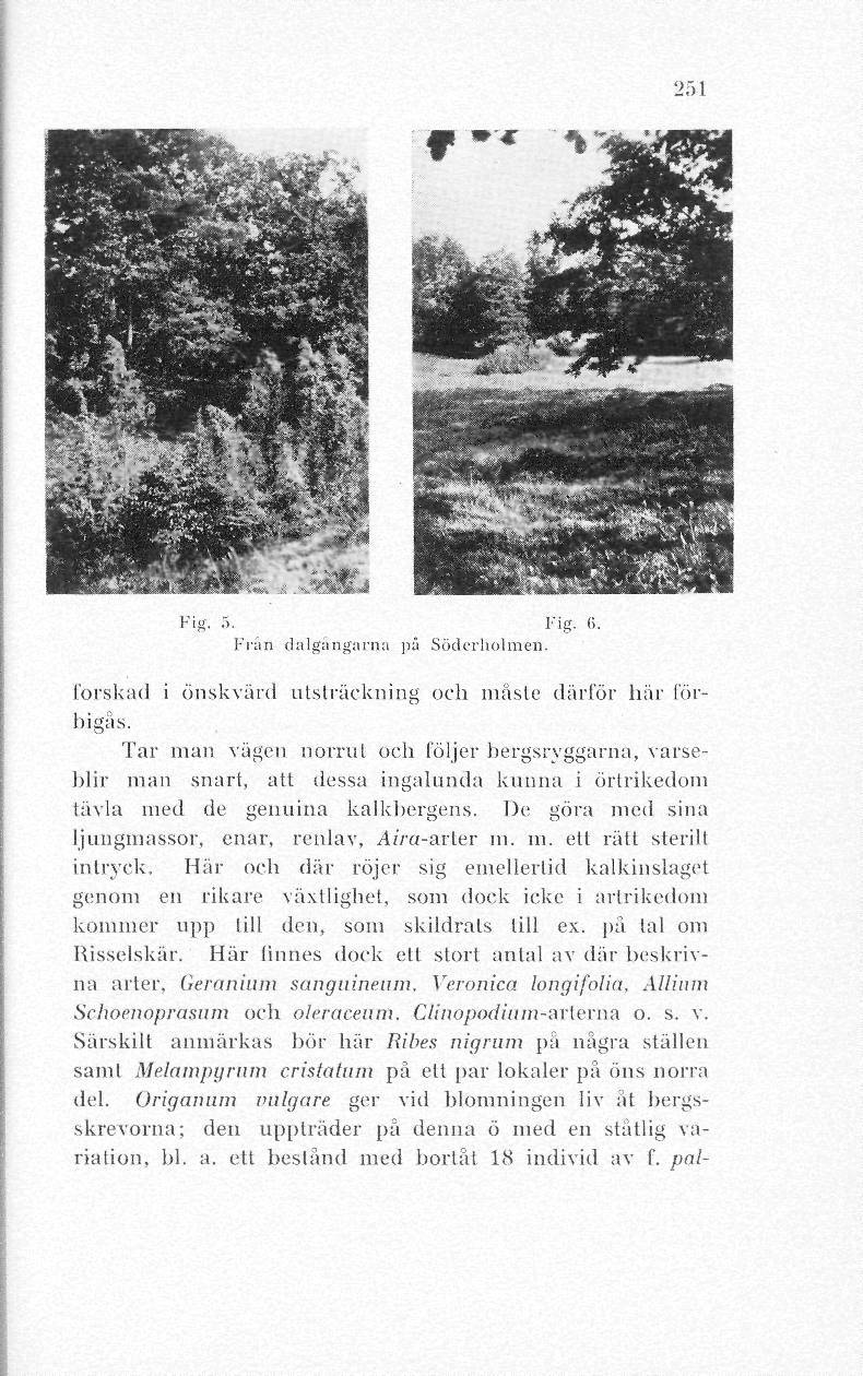 251 Frän dalgångarna pä Söderholmen. forskad i önskvärd utsträckning och måsle därför här förbigås.