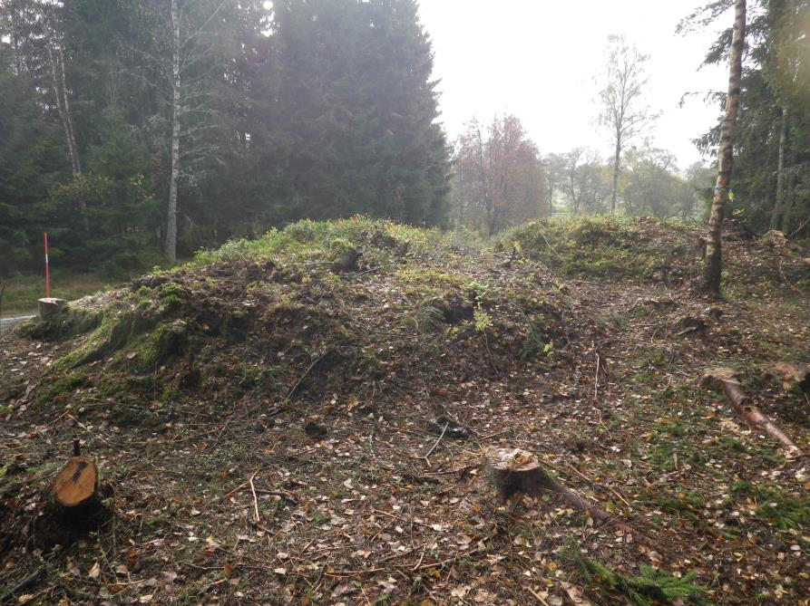 Vidare kunde undersökningen påvisa att det skett bortgrävningar i det naturliga alvmaterialet innan gravarna anlades.