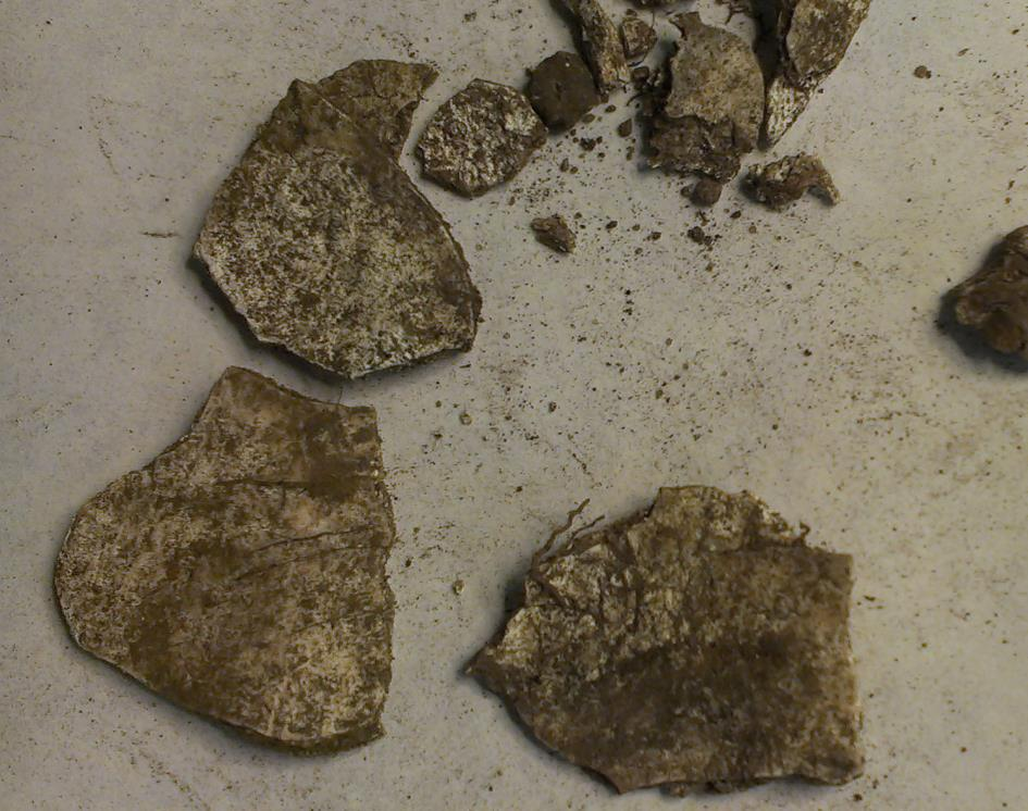 Gravens inre disposition: Det som är lättast att identifiera i ett mycket fragmenterat material är kraniefragment.