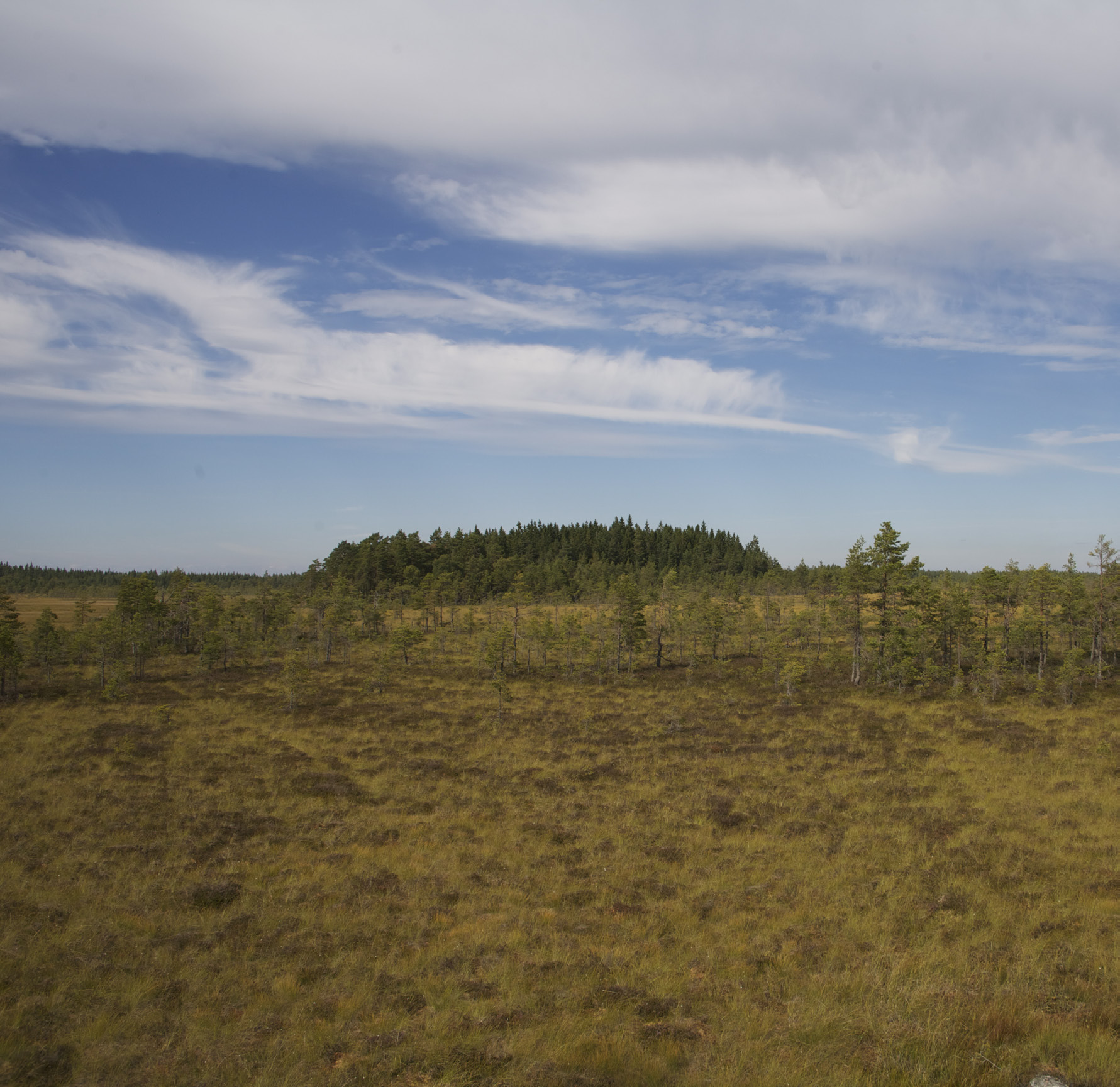 Gruppstation för vindkraft vid Trysslinge i Laxå och Degerfors kommuner,