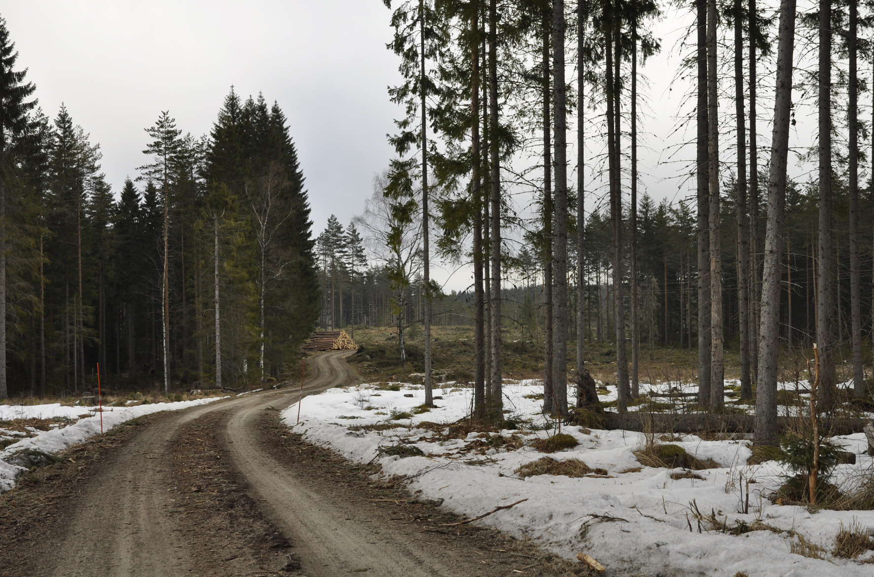 3sjöstränderna. Området är en del av Tiveden som är ett stort sammanhängande skogsområde mellan Sveriges största sjöar, Vänern och Vättern i gränslandet mellan landskapen Närke och Västergötland.