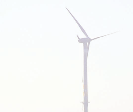 84 MILJÖKONSEKVENSER VINDKRAFTSPARKEN vindkraftsparken Nysted, vilken byggts vid sydvästra Östersjöns viktigaste rastplats för knubbsälar, inte påverkat sälstammen negativt.