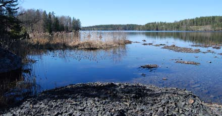 Den ursprungliga planen var att fylla igen Holländarfältet med krossad varp och lägga ut återstoden i Tjursbosjön.