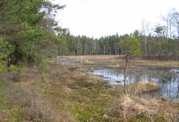 Även söder om E 20 i Hol förekommer ekskogsmiljöer i det kuperade odlingslandskap som av Natur centrum fått klass 2 (område 36).