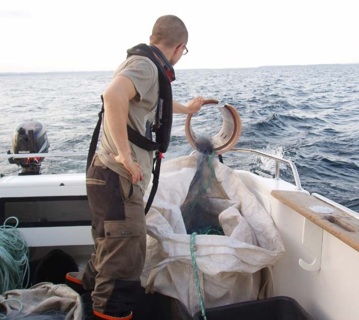 förde Länsstyrelserna en ny, mer fördjupad, undersökning av fritidsfiskets fångster som kommer att rapporteras under 2017.
