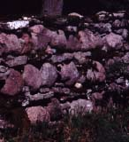 Norra Ölands hägnadssystem enligt Linné När man kommer till norra Öland möter man en större variation i sättet att organisera hägnaderna. Detta gäller särskilt Böda och Högby socknar.