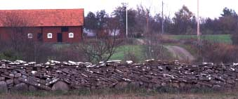 omkring 1958 började man använda betongrör, vilka var 4 6 tum. Täckdiken grävdes i början för hand. Det var mycket öppna diken på åkrarna, och det var lättare att köra med dragare i kilarna.