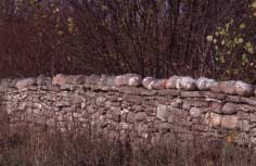 Avsnitt av gränsmuren mellan Högsrums och Rönnerums byars inägor i Högsrums socken. Just detta muravsnitt har fått ett krön av runda stenar.