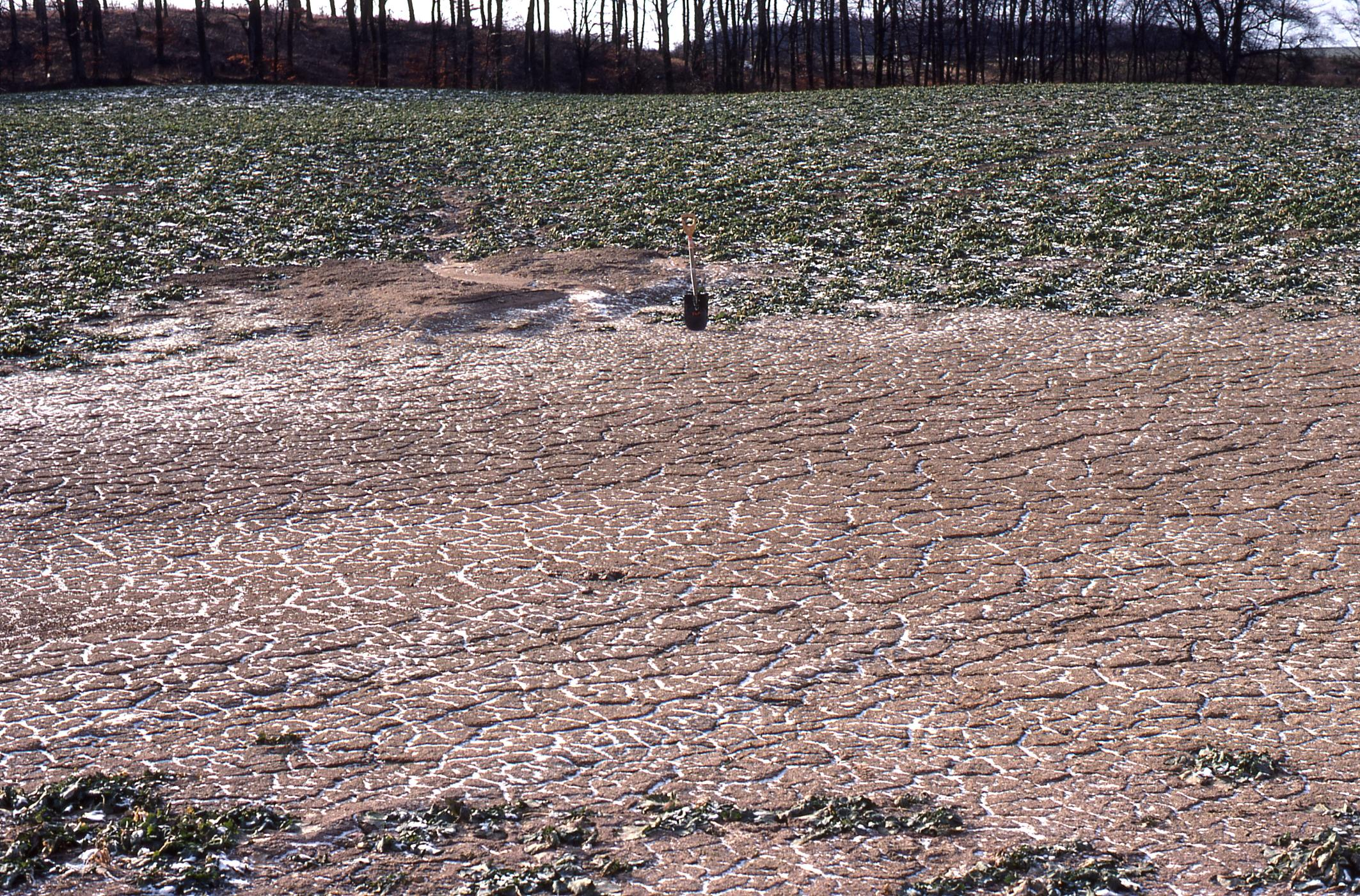 Fosforerosion SGUs planerade arbete Sveriges geologiska undersökning behöver ta fram kartunderlag som anger åkermarkens erosionskänslighet