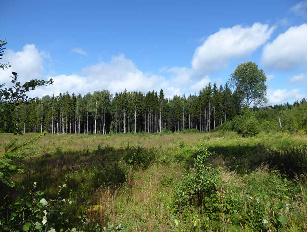 Information i denna beskrivning är baserad på ägarens uppgifter samt annat tillgängligt material. För felaktigheter, nuvarande eller eventuella kommande, i detta material ansvaras ej.