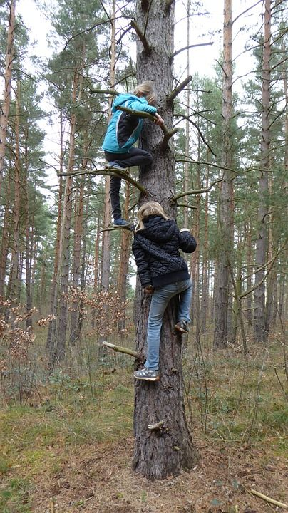 Utmaningar Vikande elevunderlag. En nationell trend är att människor flyttar från landsbygden. Osäkerheten kring skolans framtid gör att människor inte vågar placera sina barn där.