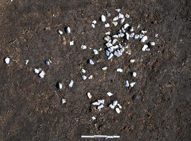 Fig. 18. Rönneholm 10:1 Samling av nätsänken av flinta och sten. I övre bilden är det första lagret av sänkestenar blottat. Skalstockens längd: 0,30 m.