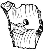 3 4 5 7 8 9 2 11 0 3 cm 1 6 10 Fig. 20. Urval av fynd från Rönneholm 10:1.