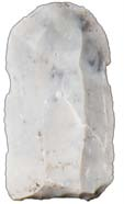 trindyxa, 2: