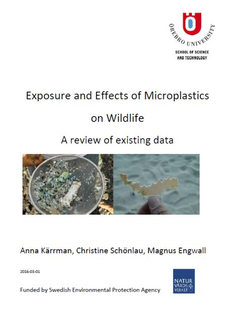 Effekter på djur och miljö kunskapssammanställning från Örebro Universitet Intag och ackumulering av makrooch mikroplaster konstaterats för filterorganismer, ryggradslösa djur, fiskar, däggdjur och