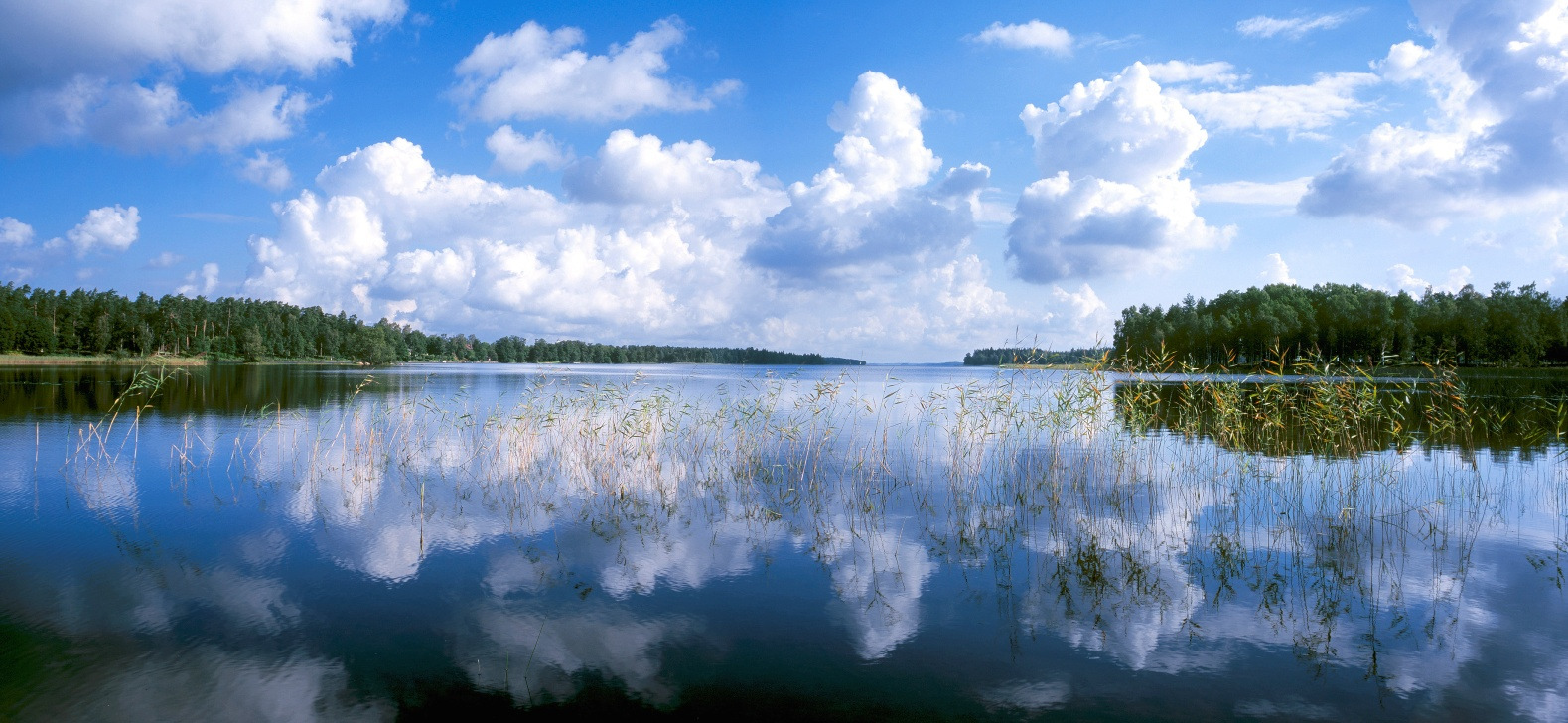 00 Luftgevär träning Bolmsö skola Catrine + Johan fre+lö 27-28/11 Sunnerboträffen Anmälan senast ca 19 nov Åbyhallen Lagan Välkomna! Hälsar Bolmsö skytteförening Se även www.bolmso.