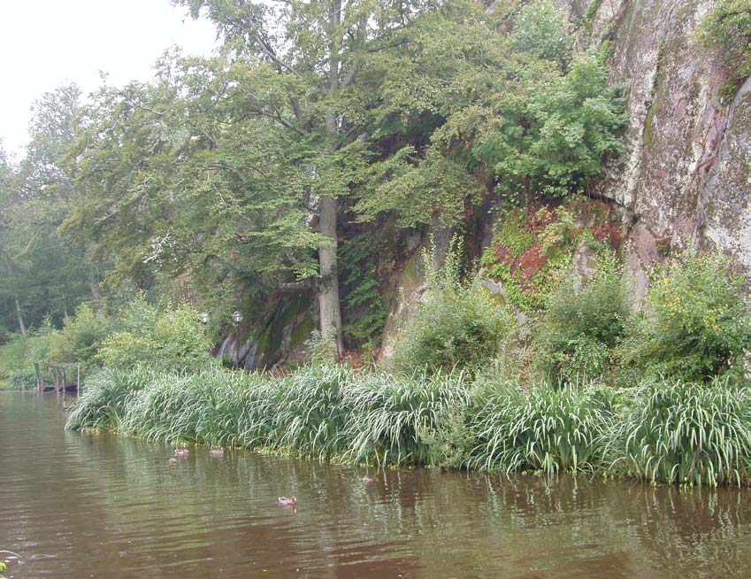 Delar sparas som naturmark, men den nuvarande tydliga gränsen mellan park och natur nyanseras så att samspel uppstår.