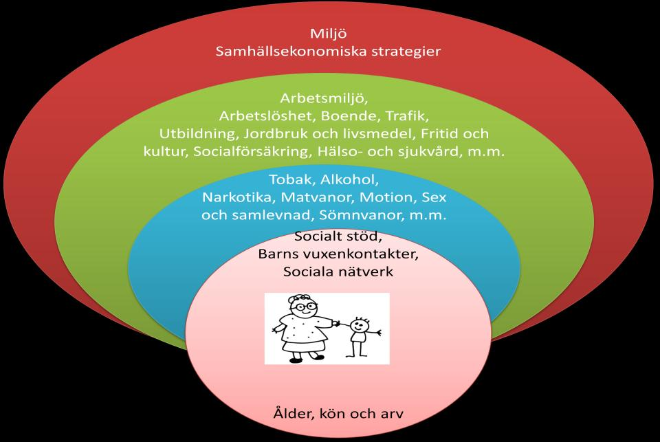 individens upplevda hälsa avsevärt. Den innersta ramen handlar om våra individuella förutsättningar som har skapats av vårt sätt att leva och av vårt genetiska arv.