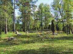 Skötseln av landskapselement inom stöden sker oftast med maskinslåtter eller röjsåg. Mer sällan blir skötseln utförd av betesdjuren vilket är sämre eftersom djuren är effektivare och mer miljövänliga.