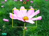 Fokusering med manuell fokus 1. Komponera bilden på skärmen så att motivet du vill fokusera på befinner sig inom den gula ramen. 2.