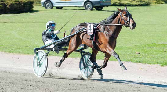 Start 8: Bankod SAMANTHA AS (DE) :, K,mr. s. e Donato Hanover - : -- : --, Tot: -- Sully Fi e S.J.