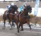 Foto: LAS JAKOBSSON/KANAL Stephanie J Werder vann montéloppet tillsammans med Lutfi Kolgjini-tränade Olympi Kronos. Foto: HANOLD/ALN än Kolgjini var Stephanie J Werder.