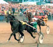 Från första klassiska triumf med eguppfödda (arlsnds Stuteri) Astrata i Svsk Uppfödningslöpning som upprepades av Hövding Lave via Kriteriesegrar för Mr Lave oh eadly Express fram till att d sare