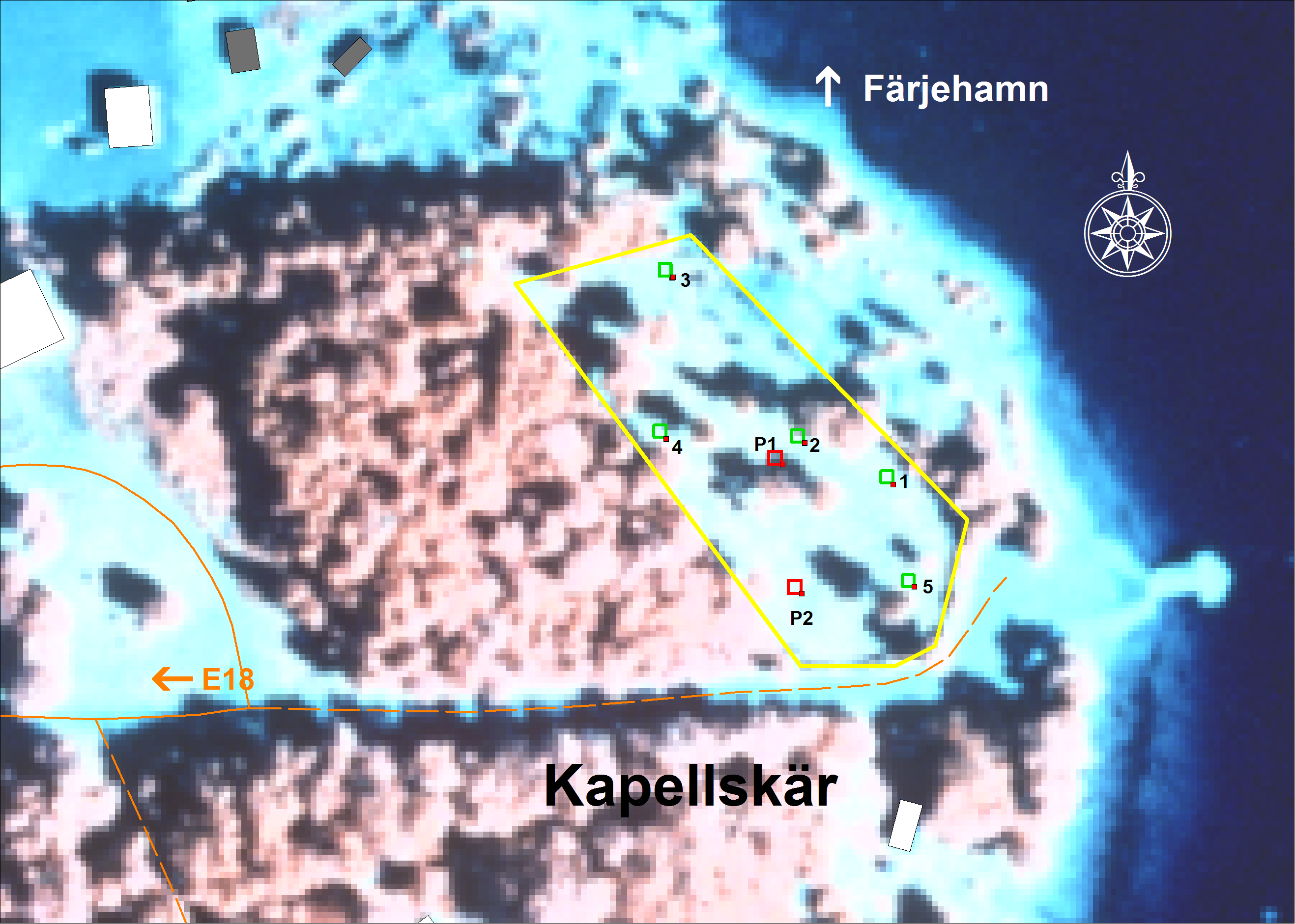 Bilaga 3. Karta över området för stor tofsäxing. Kapellskärsudden. Den röda linjen det område där stor tofsäxing förekommer.