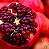 POMEGRANATE Berikad med sheasmör, ginseng och naturliga extrakt som lugnar och mjukgör huden.