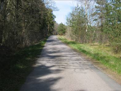 För vägen ner mot badet finns ett beslut om 30 km/h. Vägen upp till Lökenäs by är belagd för att sedan övergå till grusväg genom byn och vidare upp mot Ytterrörsvägen. Vägbredden är ca 3-3,5 m.