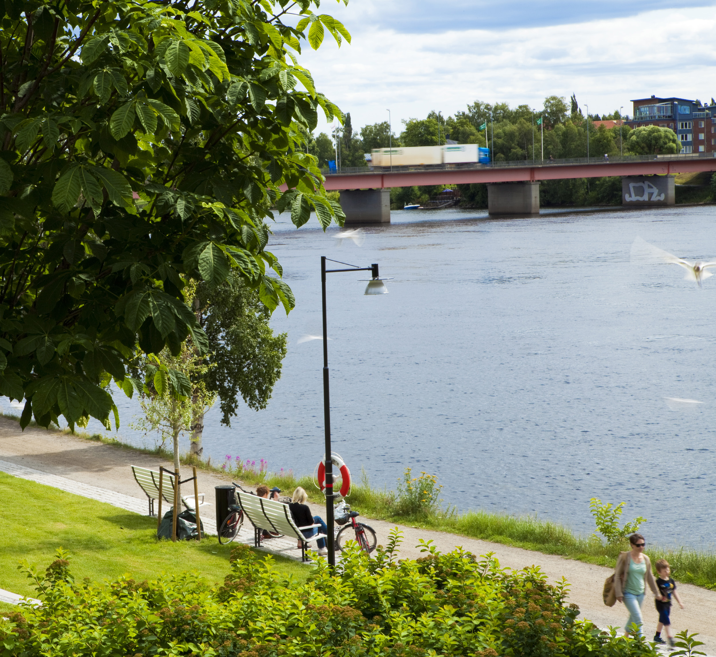 Trafiksäkerhetsprogram