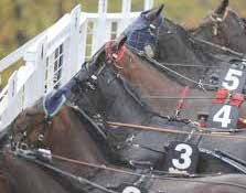 e Musle Memory - : 0-0-0 9,7 700 : -0-0 9,7 7 00 Tot: -0-0 Fleur du Cp e Revenue Lursen J A 0/ - 0/ 0 0,6 7 8 Uppf: Bernhult Ann-Len, Alingsås Aurell K m 8/9 - / 080 0, 78 Äg: Bernhult Ann-Len,