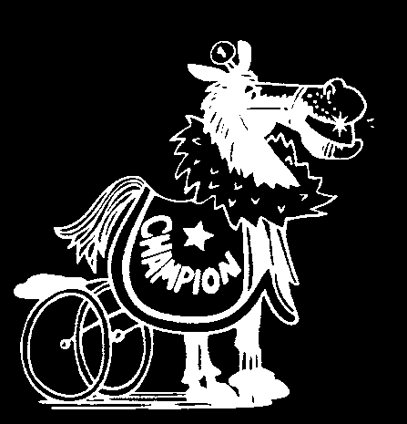 Strt 9:08 Bnkod 8 b,br. v. e Going Kronos - Mrgherit Ros e Abo Volo Uppf: Annemnn AB, Ekerö Äg: Stll Be the Best Vinröd, sv