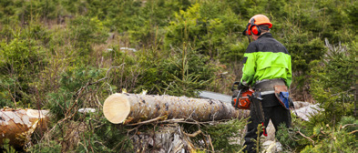 Data, teknik och naturvetenskap Efterfrågan på IT-tjänster är stor och tekniken utvecklas i snabb takt. Egenskaper som teknikintresse och vilja att lära förbättrar dina chanser till jobb.