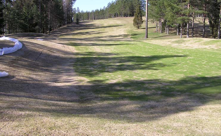 Normalt tål plantorna mer och mer under hösten tills de når ett maximum i januari. Plantorna blir därefter avhärdade när temperaturen stiger och energireserverna töms.