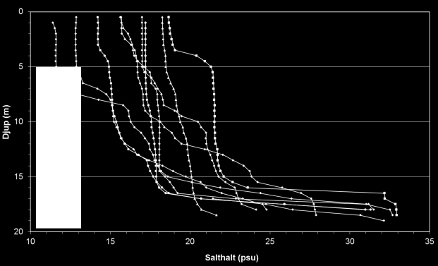 och det är nu är 2 till 3 grader varmare vid botten. L9 uppvisar ett tydligt salthaltssprångskikt i de nedersta 4 metrarna.